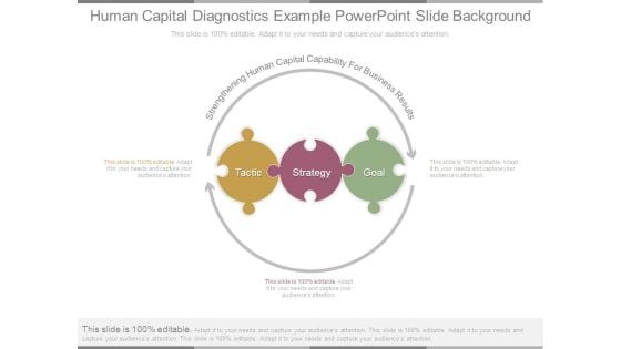 Human Capital Diagnostics Example Powerpoint Slide Background