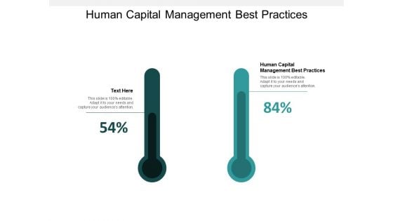 Human Capital Management Best Practices Ppt Powerpoint Presentation Slides Clipart Cpb