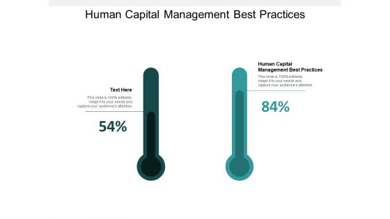 Human Capital Management Best Practices Ppt Powerpoint Presentation Slides Clipart Cpb