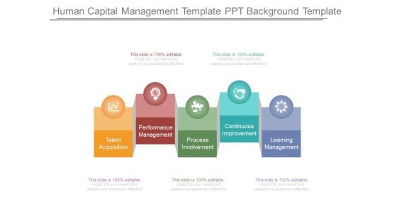 Human Capital Management Template Ppt Background Template