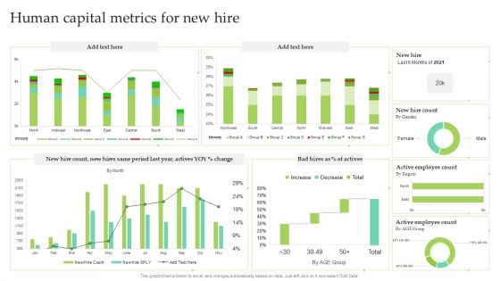 Human Capital Metrics For New Hire Ppt Pictures Brochure PDF
