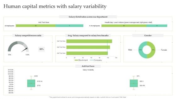 Human Capital Metrics With Salary Variability Ppt Infographic Template Designs PDF