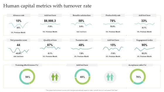 Human Capital Metrics With Turnover Rate Ppt Pictures Outline PDF