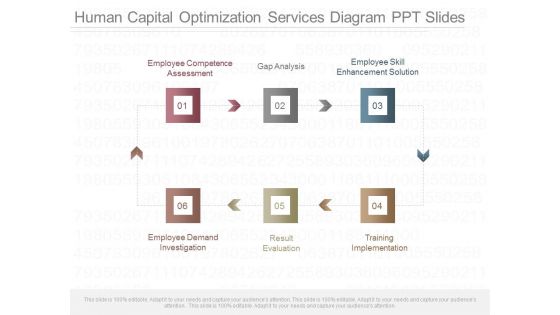 Human Capital Optimization Services Diagram Ppt Slides