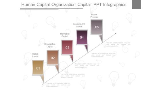 Human Capital Organization Capital Ppt Infographics