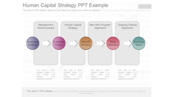 Human Capital Strategy Ppt Example