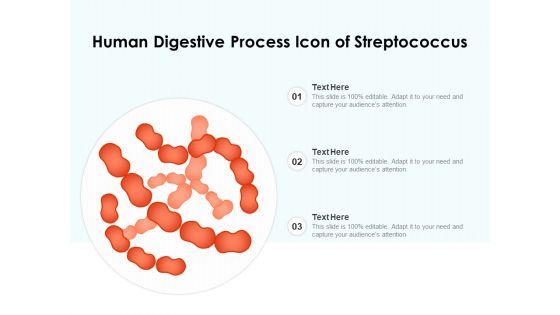 Human Digestive Process Icon Of Streptococcus Ppt PowerPoint Presentation Styles Graphics Example PDF