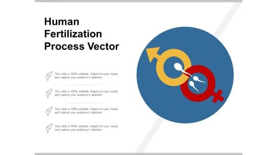 Human Fertilization Process Vector Ppt Powerpoint Presentation Slides Design Inspiration