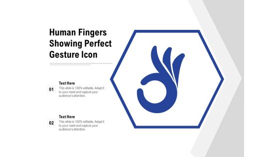 Human Fingers Showing Perfect Gesture Icon Ppt PowerPoint Presentation File Guide PDF