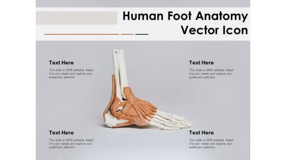 Human Foot Anatomy Vector Icon Ppt PowerPoint Presentation Outline Graphics Example PDF
