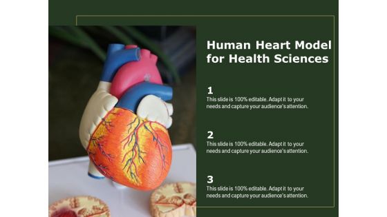 Human Heart Model For Health Sciences Ppt PowerPoint Presentation Portfolio Images PDF