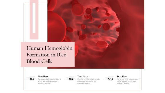 Human Hemoglobin Formation In Red Blood Cells Ppt PowerPoint Presentation Gallery Images PDF