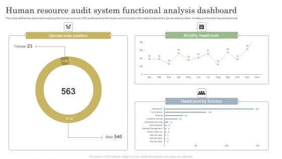 Human Resource Audit System Functional Analysis Dashboard Sample PDF