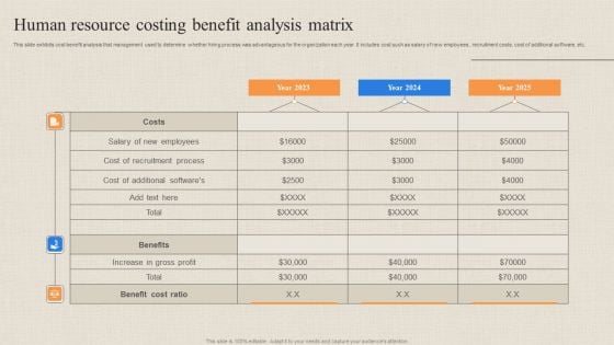 Human Resource Costing Benefit Analysis Matrix Download PDF