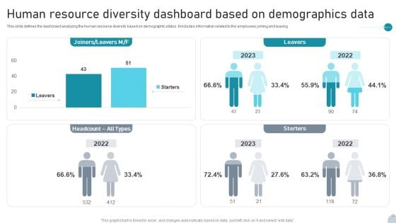 Human Resource Diversity Dashboard Based On Demographics Data Rules PDF