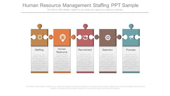 Human Resource Management Staffing Ppt Sample