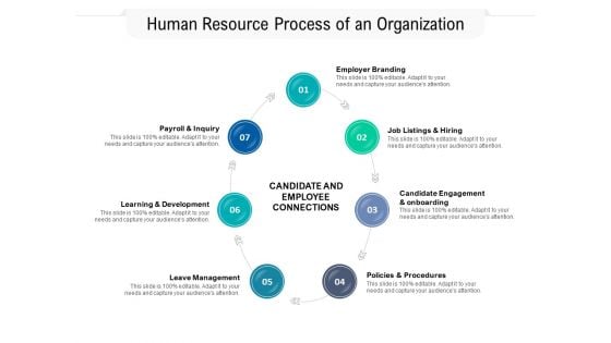 Human Resource Process Of An Organization Ppt PowerPoint Presentation File Layout PDF