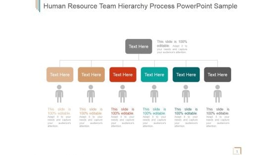 Human Resource Team Hierarchy Process Ppt PowerPoint Presentation Template