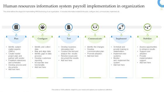 Human Resources Information System Payroll Implementation In Organization Professional PDF