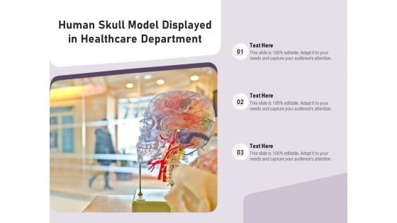 Human Skull Model Displayed In Healthcare Department Ppt PowerPoint Presentation Icon PDF