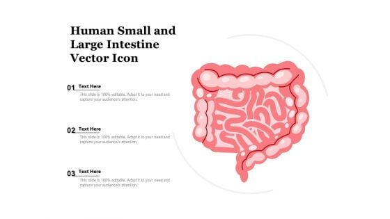 Human Small And Large Intestine Vector Icon Ppt PowerPoint Presentation Icon Grid PDF