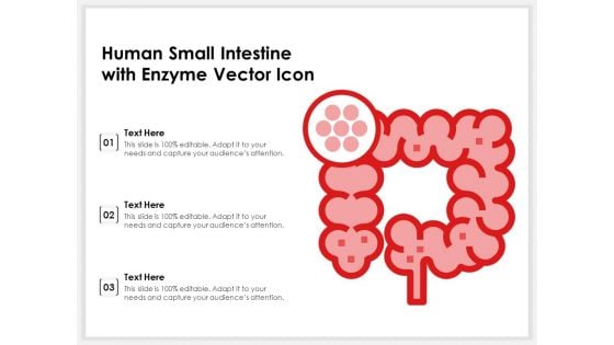 Human Small Intestine With Enzyme Vector Icon Ppt PowerPoint Presentation Portfolio Summary PDF