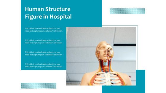 Human Structure Figure In Hospital Ppt PowerPoint Presentation Icon Background Images PDF