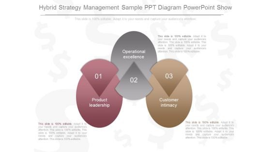 Hybrid Strategy Management Sample Ppt Diagram Powerpoint Show Hybrid Strategy Management Sample Ppt Diagram Powerpoint Show