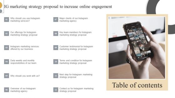 IG Marketing Strategy Proposal To Increase Online Engagement Table Of Contents Structure PDF