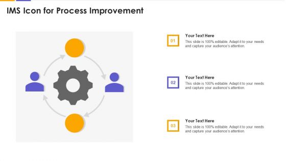 IMS Icon For Process Improvement Clipart PDF