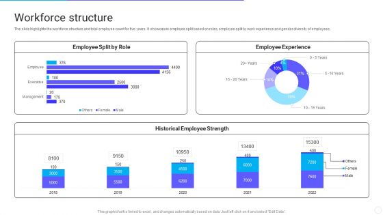 IT Application Services Company Outline Workforce Structure Introduction PDF