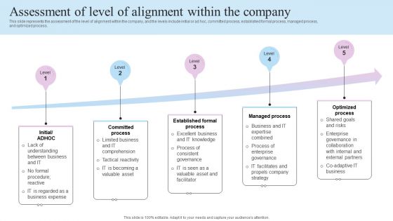 IT Business Alignment Framework Assessment Of Level Of Alignment Within The Company Professional PDF