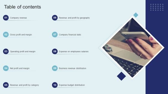 IT Firm Financial Statement Table Of Contents Download PDF