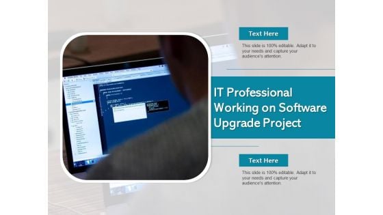 IT Professional Working On Software Upgrade Project Ppt PowerPoint Presentation File Files PDF