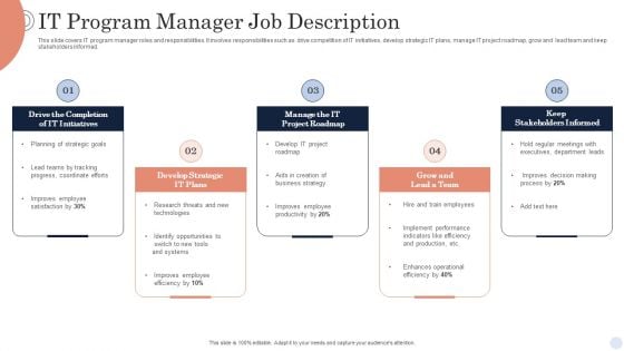 IT Program Manager Job Description Diagrams PDF