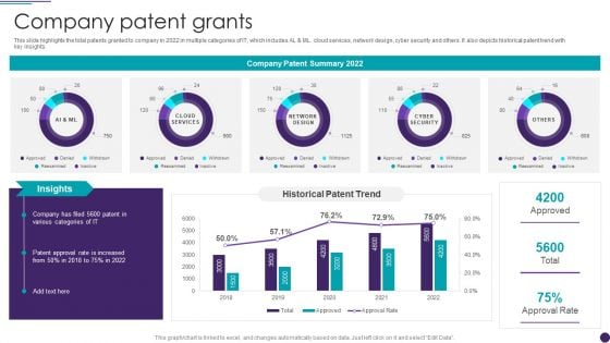 IT Services Business Profile Company Patent Grants Infographics PDF