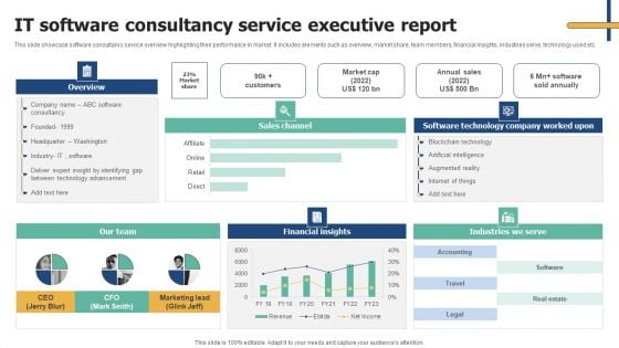 IT Software Consultancy Service Executive Report Structure PDF