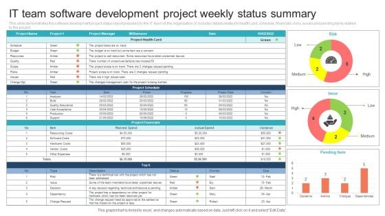 IT Team Software Development Project Weekly Status Summary Microsoft PDF