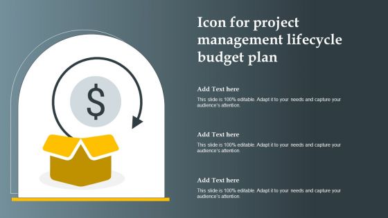 Icon For Project Management Lifecycle Budget Plan Sample PDF