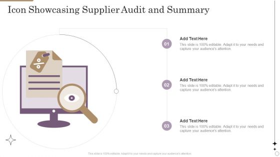 Icon Showcasing Supplier Audit And Summary Demonstration PDF