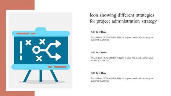 Icon Showing Different Strategies For Project Administration Strategy Summary PDF