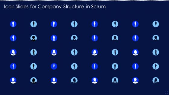 Icon Slides For Company Structure In Scrum Ppt PowerPoint Presentation File Outline PDF