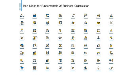 Icon Slides For Fundamentals Of Business Organization Ppt Ideas Example File PDF