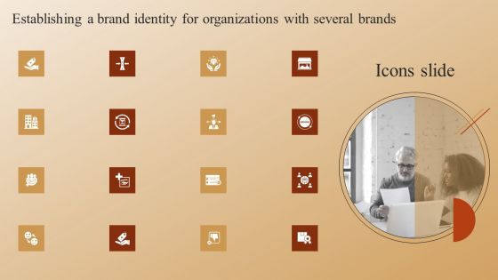 Icons Establishing A Brand Identity For Organizations With Several Brands Professional PDF