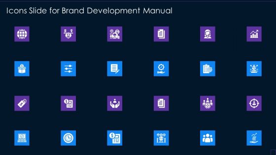Icons Slide For Brand Development Manual Sample PDF