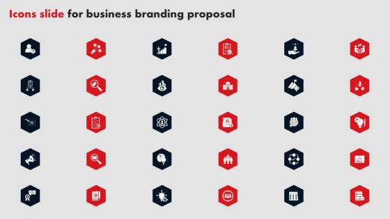 Icons Slide For Business Branding Proposal Ppt Model Example PDF