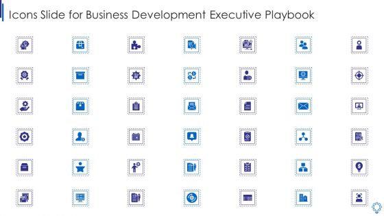 Icons Slide For Business Development Executive Playbook Pictures PDF