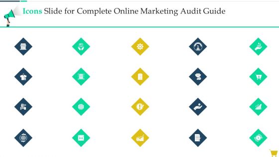 Icons Slide For Complete Online Marketing Audit Guide Demonstration PDF