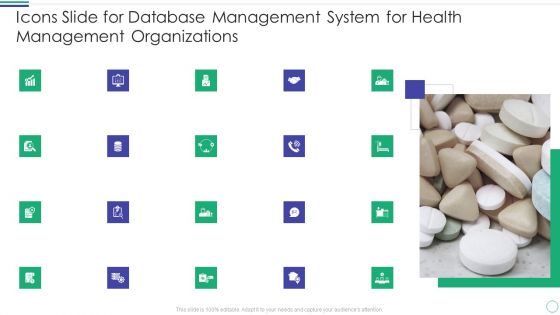 Icons Slide For Database Management System For Health Management Organizations Professional PDF