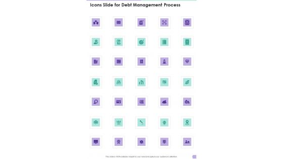 Icons Slide For Debt Management Process One Pager Sample Example Document Icons Slide For Debt Management Process One Pager Sample Example Document